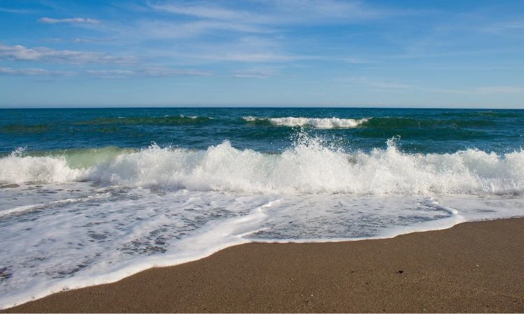 /api/getImage/0736c2c1f1e05c60a52b37cf9e1fc2de